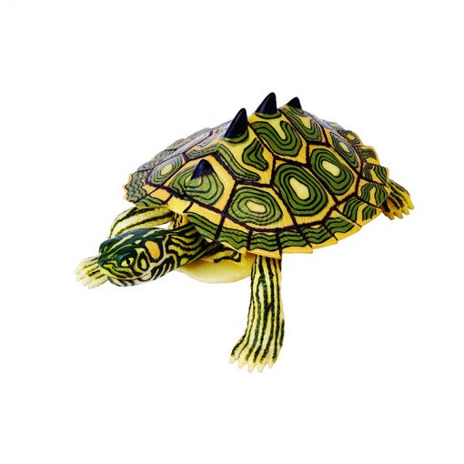 4D Puzzle Összerakható állatfigura | Térképes tarajos teknős