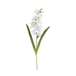 Bugs-World Gladiolus Kardvirág műnövény