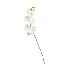 Bugs-World Fehér orchidea művirág