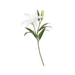 Bugs-World White Lily Fehér liliom művirág
