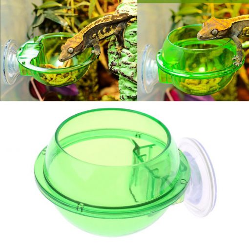 Bugs-World Anti-Escape Food Bowl Zöld etetőtál üvegre