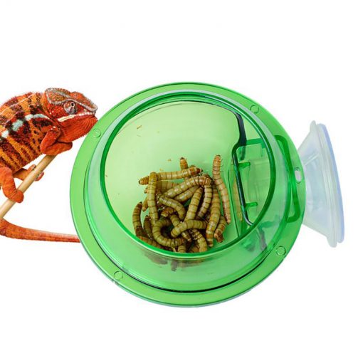 Bugs-World Anti-Escape Food Bowl Zöld etetőtál üvegre