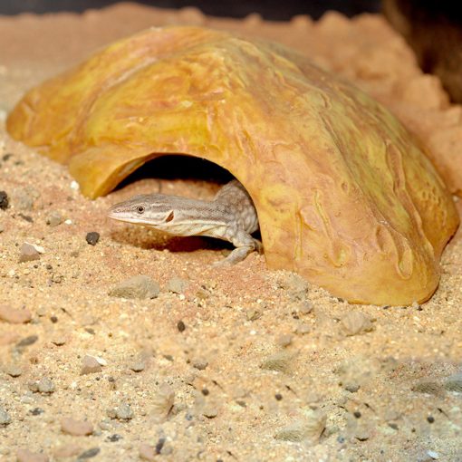 HabiStat Sandstone Reptile Cave Homokkő búvóhely