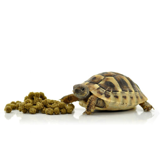 HabiStat Tortoise Food Meadow Mix Szárazföldi teknős eledel