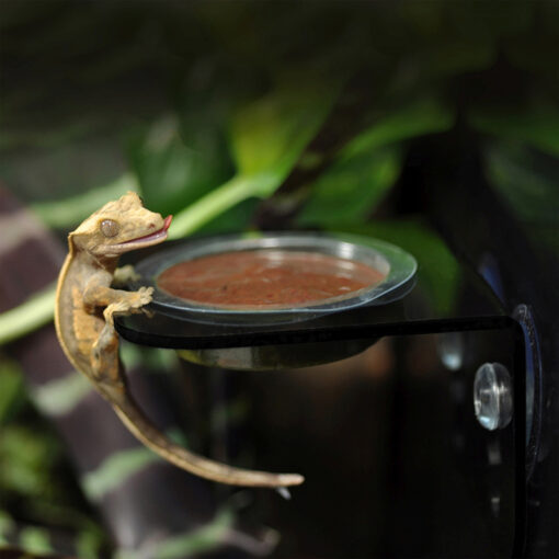 HabiStat Crested Gecko Diet Vitorlás gekkó táp - Eper & rovar