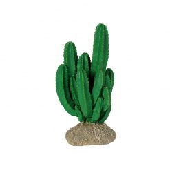 Reptiles-Planet Ironwood Cactus Kaktusz műnövény