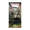 ZooMed Paludarium Terrarium és akvárium egyben berendezési példa