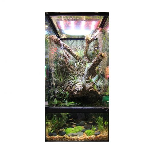 ZooMed Paludarium Terrarium és akvárium egyben berendezési példa