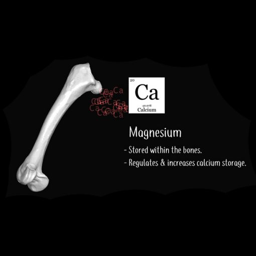 Arcadia EarthPro CalciumPro-Mg Kalcium + magnézium
