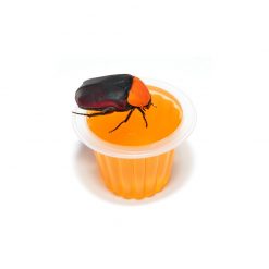 BeetleJelly - Bogárzselé - Narancs