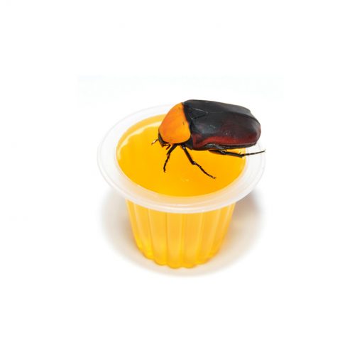 BeetleJelly - Bogárzselé - Dinnye