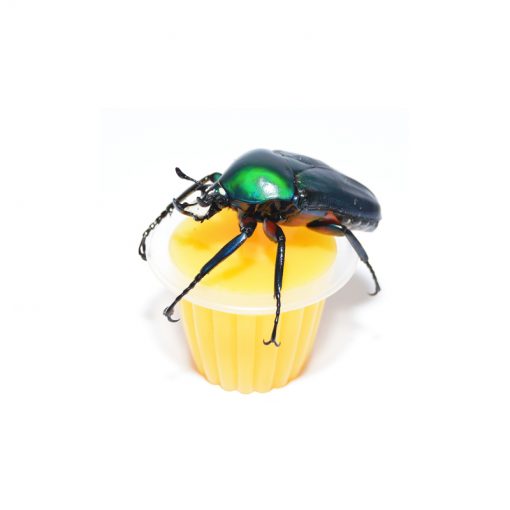 BeetleJelly - Bogárzselé - Mangó