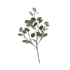 Bugs-World Gum Tree Eukaliptusz műnövény