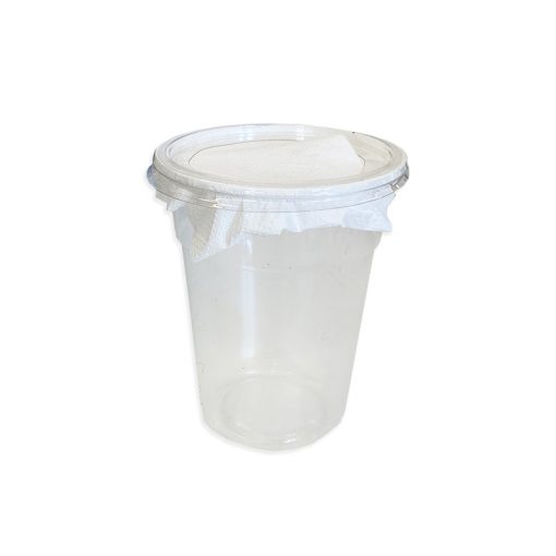 Bugs-World Lukas tetejű műanyag muslicás pohár - 500ml | 1