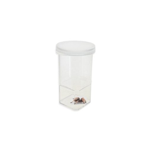 Bugs-World Póknevelő fiola - Műanyag Tároló | 1