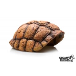 GiganTerra Tortoise Hide 483 Teknős páncél formájú búvóhely | 15 cm