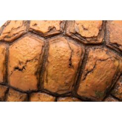 GiganTerra Tortoise Hide 483 Teknős páncél formájú búvóhely | 15 cm