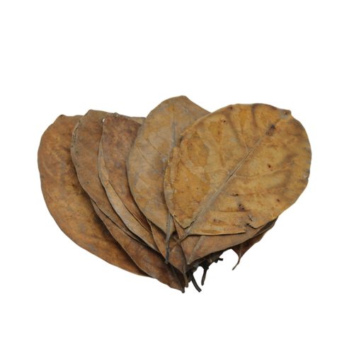 CeramicNature Jack Fruit Leaves Természetes kenyérfa levelek - 20 db | L