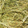 DragonOne Fresh Meadow Hay Friss réti széna alom kisállatoknak | 5L, 10L