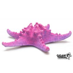 GiganTerra Starfish 705 Pink tengericsillag dekoráció és mászóka | 17 cm