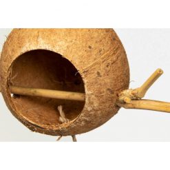 GigaBird Coconut Beruk 316 Kókuszdió bújóka