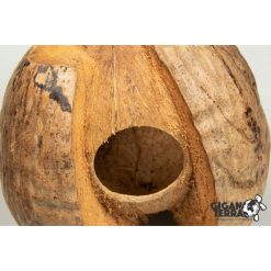 GigaBird Coconut 312 Kókuszdió bújóka