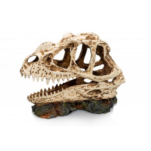 GiganTerra Dino Skull Dinoszaurusz koponya 1