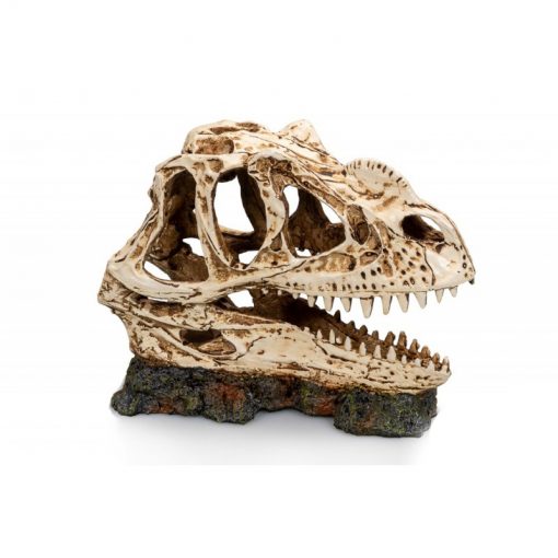 GiganTerra Dino Skull Dinoszaurusz koponya 1