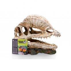 GiganTerra Dino Skull Dinoszaurusz koponya 2