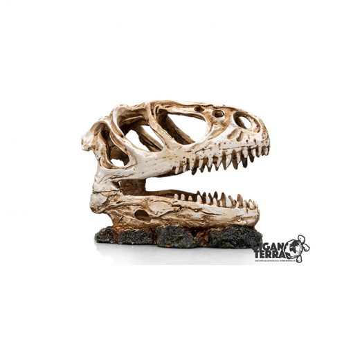 GiganTerra T-Rex Skull Dinoszaurusz koponya 3
