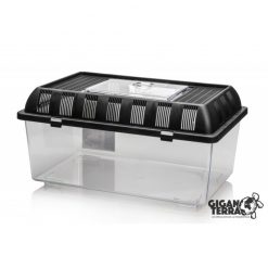 GiganTerra Breeding Box Műanyag tenyésztődoboz | L