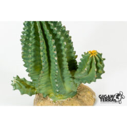 GiganTerra Cactus 294 Kaktusz műnövény | 15 cm