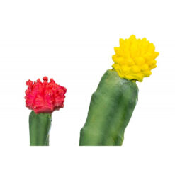 GiganTerra Cactus 299 Kaktusz műnövény | 18 cm