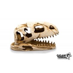 GiganTerra Dino Skull 206 Dinoszaurusz koponya