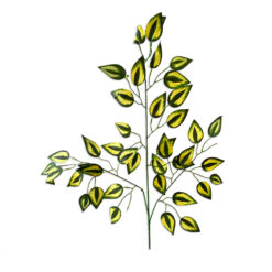 Bugs-World Hajlítható szárú zöld-sárga leveles ág műnövény | 60x50 cm