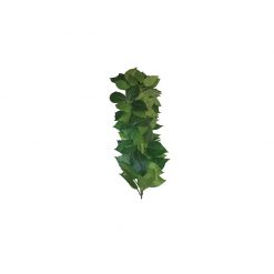 Komodo Ficus Silk Vine Selyem műnövény