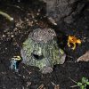 Lucky Reptile Frog Cave Peterakó barlang nyílméregbékáknak