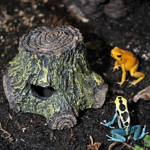 Lucky Reptile Frog Cave Peterakó barlang nyílméregbékáknak