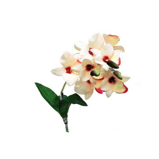 Lucky Reptile Fehér orchidea művirág