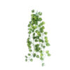 Nomoy Pet Hanging Leaves 80 Természetes futónövény | 200 cm
