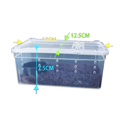 DragonOne Műanyag tároló doboz hüllőkhöz, bogarakhoz | S
