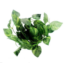 DragonOne Evergreen Vine Természetes futónövény | 230 cm