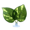 Nomoy Pet Green Dill Leaves Levelek tapadókoronggal | Mini