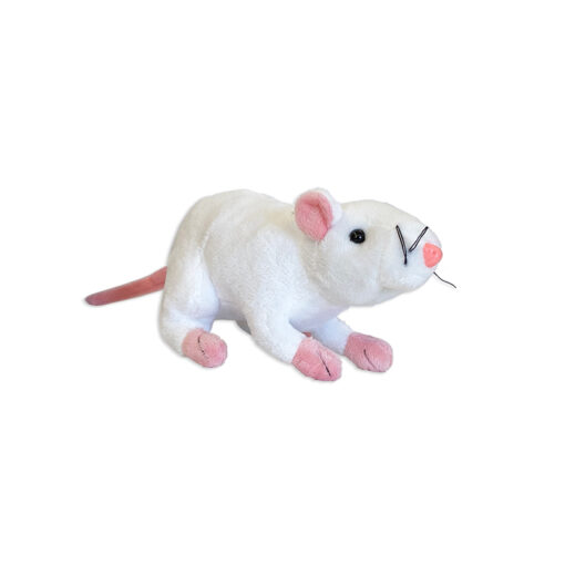 Cornelissen Plüss patkány