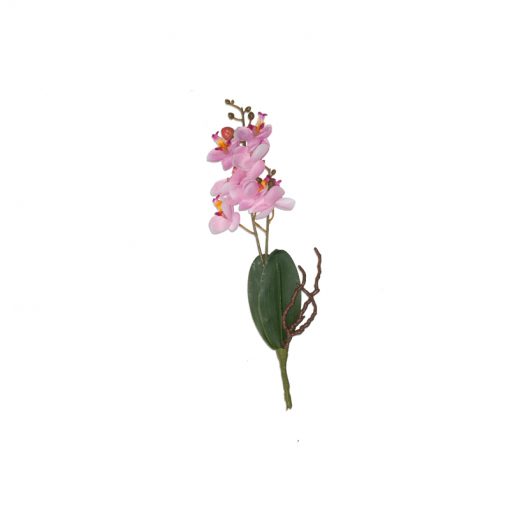 Bugs-World Phalaenopsis műnövény - Rózsaszín