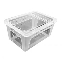 DragonOne Műanyag tároló doboz hüllőkhöz, bogarakhoz | XL