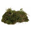 Trixie Terrarium Moss