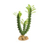 Zoomed Desert Flora Sivatagi műnövény - Euphorbia | 28 cm